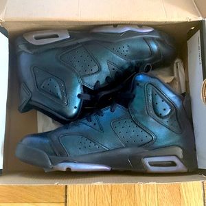 Retro 6 chameleon